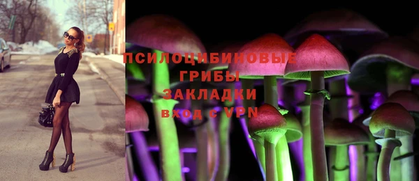 молекула духа Грязи